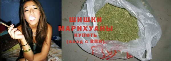 первитин Заводоуковск