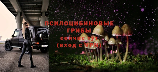 MDMA Заволжск