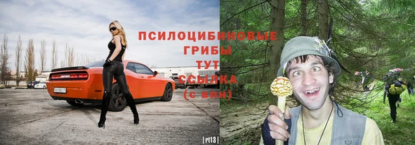 первитин Заводоуковск