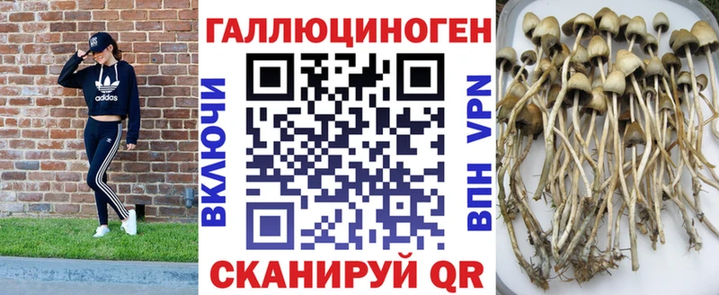 omg tor  Курильск  Псилоцибиновые грибы Magic Shrooms 